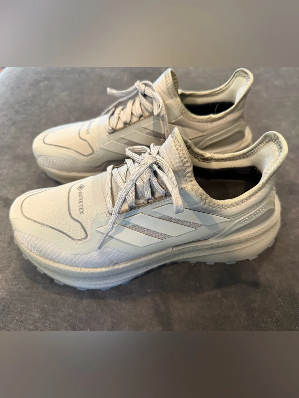 Women’s Ultraboost 5 GTX Running Shoe, Size 8.5